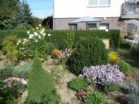 dvorska_panasonic_p1000530.jpg: 277k (2009-09-27 12:11)