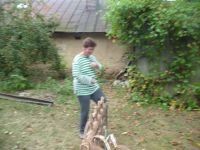 dvorska_panasonic_p1000535.jpg: 129k (2009-09-29 13:21)