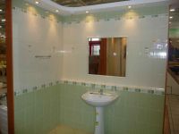 dvorska_panasonic_p1000549.jpg: 79k (2010-03-13 07:55)