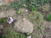 dvorska_panasonic_p1000561.jpg: 254k (2010-03-23 11:49)