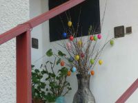 dvorska_panasonic_p1000574.jpg: 96k (2010-04-09 05:22)