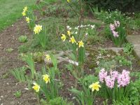 dvorska_panasonic_p1000581.jpg: 184k (2010-04-16 13:50)