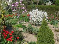 dvorska_panasonic_p1000598.jpg: 309k (2010-04-25 12:09)