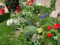 dvorska_panasonic_p1000599.jpg: 281k (2010-04-25 12:10)