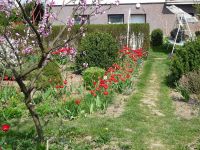 dvorska_panasonic_p1000608.jpg: 293k (2010-04-25 12:17)