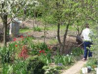 dvorska_panasonic_p1000621.jpg: 268k (2010-04-25 12:31)