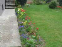 dvorska_panasonic_p1000628.jpg: 203k (2010-05-01 05:48)