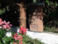 dvorska_panasonic_p1000668.jpg: 168k (2010-07-09 06:06)