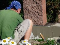 dvorska_panasonic_p1000669.jpg: 166k (2010-07-09 06:06)