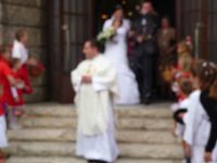 dvorska_panasonic_p1000674.jpg: 66k (2010-08-07 13:53)