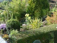 dvorska_panasonic_p1000698.jpg: 269k (2010-10-09 12:58)