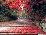 _japan_title_03.jpg: 146k (2006-10-10 16:38)