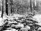 black_and_white_icy_cold_river_ontario.jpg: 325k (2011-03-10 22:05)