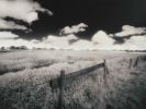 black_and_white_infrared_field_cheshire_united_kingdom.jpg: 132k (2011-03-10 22:05)
