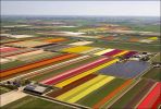 holland_in_may_12.jpg: 98k (2011-06-16 11:59)
