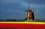 holland_in_may_15.jpg: 57k (2011-06-16 11:59)