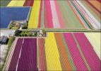 holland_in_may_18.jpg: 97k (2011-06-16 11:59)