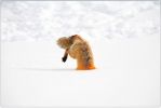 national_geographic_2008_a_031.jpg: 24k (2008-05-14 15:51)