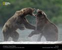 national_geographic_2010_a_16.jpg: 84k (2011-03-10 00:34)