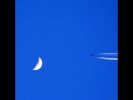 patrick_notley_29.jpg: 23k (2011-06-01 17:38)