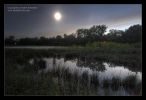 svetlusky_2011_005.jpg: 72k (2011-08-04 10:02)