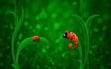 vs_05_ladybug_and_chameleon.jpg: 40k (2011-03-11 00:04)