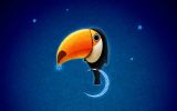 vs_09_toucan.jpg: 33k (2011-03-11 00:06)