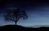 vs_09_tree_and_moon.jpg: 36k (2011-03-11 00:06)
