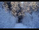 siberia_2012_25.jpg: 173k (2012-03-17 20:10)