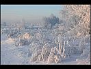 siberia_2012_35.jpg: 92k (2012-03-17 20:10)