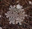 snowflakes_2012_08.jpg: 269k (2012-12-15 19:49)