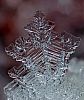 snowflakes_2012_09.jpg: 315k (2012-12-15 19:49)