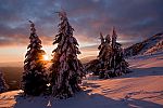 zimna_krasa_2012_02.jpg: 138k (2012-01-23 00:12)