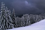 zimna_krasa_2012_17.jpg: 160k (2012-01-23 00:12)