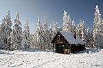 zimna_krasa_2012_28.jpg: 149k (2012-01-23 00:12)