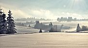 zimna_krasa_2012_35.jpg: 95k (2012-01-23 00:12)