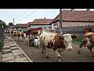 just_beautifull_romania_82.jpg: 144k (2017-08-06 17:50)
