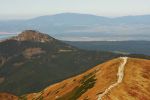 rohace_2011_miro_img_8602.jpg: 92k (2011-10-01 10:09)