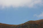 rohace_2011_miro_img_8718.jpg: 44k (2011-10-02 11:40)