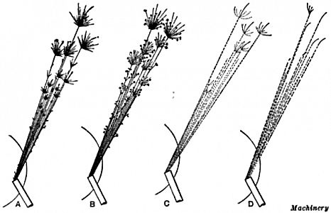 bs_spark_iron_test_en_01.png: 156k (2018-02-04 17:37)