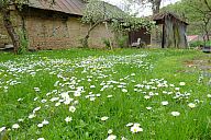 2014_04_21_p1020941.jpg: 177k (2014-04-23 17:22)