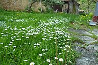 2015-05-08_jar_p1030900.jpg: 276k (2015-05-08 17:00)