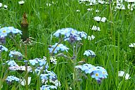 2015-05-08_jar_p1030901.jpg: 181k (2015-05-08 17:01)