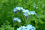 2015-05-08_jar_p1030903.jpg: 118k (2015-05-08 17:02)