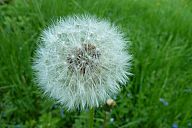 2015-05-08_jar_p1030906.jpg: 122k (2015-05-08 17:03)