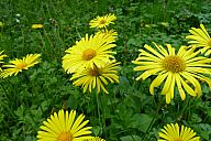 2015-05-08_jar_p1030907.jpg: 172k (2015-05-08 17:03)