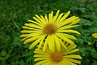 2015-05-08_jar_p1030908.jpg: 131k (2015-05-08 17:03)