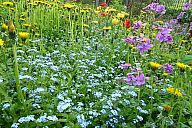 2015-05-08_jar_p1030915.jpg: 351k (2015-05-08 17:43)