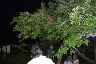 drzava_2013_07_12_slavo_p102061501.jpg: 218k (2013-07-12 20:37)