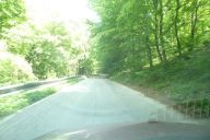 novy_zeland_a_drzava_2011_05_17_p1000455.jpg: 129k (2011-05-17 15:37)